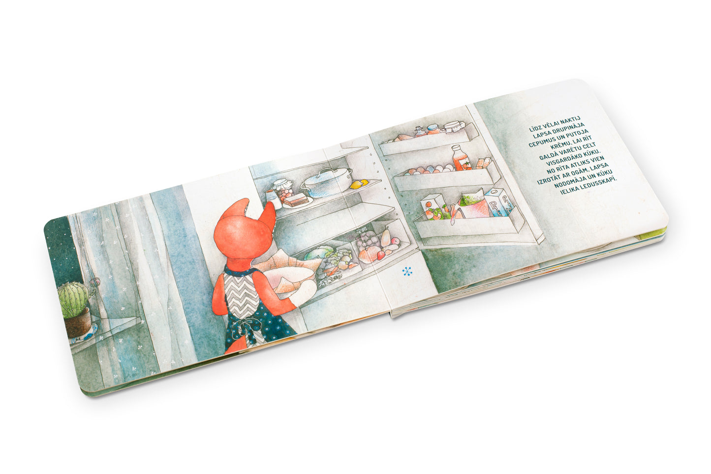 Picture book "Lapsas dzimšanas diena"